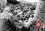 Image of United States soldiers Vietnam, 1964, second 60 stock footage video 65675061699