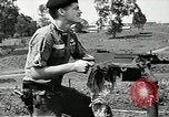 Image of United States soldiers Vietnam, 1964, second 51 stock footage video 65675061700