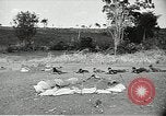 Image of United States soldiers Vietnam, 1964, second 55 stock footage video 65675061700