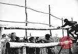 Image of United States soldiers Vietnam, 1964, second 9 stock footage video 65675061701