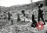 Image of United States soldiers Vietnam, 1964, second 27 stock footage video 65675061701