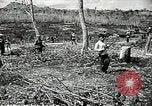 Image of United States soldiers Vietnam, 1964, second 33 stock footage video 65675061701