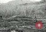 Image of United States soldiers Vietnam, 1964, second 53 stock footage video 65675061701