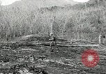 Image of United States soldiers Vietnam, 1964, second 54 stock footage video 65675061701