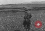 Image of United Nations offensive in Operation Pile Driver during Korean War Korea, 1951, second 24 stock footage video 65675061707