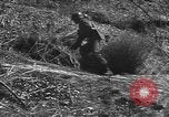 Image of Major General Robert H Soule Korea, 1951, second 45 stock footage video 65675061709