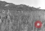 Image of American infantry wading through water Korea, 1953, second 16 stock footage video 65675061714