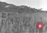 Image of American infantry wading through water Korea, 1953, second 19 stock footage video 65675061714