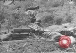 Image of American infantry wading through water Korea, 1953, second 25 stock footage video 65675061714