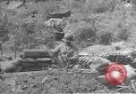 Image of American infantry wading through water Korea, 1953, second 26 stock footage video 65675061714