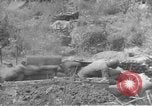 Image of American infantry wading through water Korea, 1953, second 27 stock footage video 65675061714