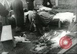 Standbild Schäden aufgrund der Katastrophe Pazifik, 1960, aus Sekunde 35 historischem Filmmaterial Videoclip 65675061716