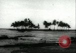 Standbild Schäden aufgrund der Katastrophe Pazifik, 1960, aus Sekunde 49 historischem Filmmaterial Videoclip 65675061716