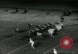 Image match de football Chicago Illinois USA, 1960, de la seconde 42 séquences d'archives historiques vidéo 65675061724