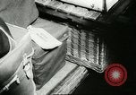 Image Prince Andrew Royaume-Uni, 1960, de la seconde 11 séquences d'archives historiques vidéo 65675061727