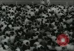 Standbild internationale Trabrennen Meisterschaft New York United States USA, 1960, aus Sekunde 9 historischem Filmmaterial Videoclip 65675061733
