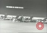 Standbild internationale Trabrennen Meisterschaft New York United States USA, 1960, aus Sekunde 37 historischem Filmmaterial Videoclip 65675061733