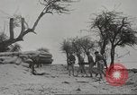 Image of 14-inch disappearing rifle at Ft. DeRussy Hawaii USA, 1941, second 24 stock footage video 65675061752