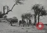 Image of 14-inch disappearing rifle at Ft. DeRussy Hawaii USA, 1941, second 25 stock footage video 65675061752