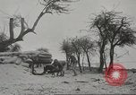 Image of 14-inch disappearing rifle at Ft. DeRussy Hawaii USA, 1941, second 26 stock footage video 65675061752