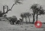Image of 14-inch disappearing rifle at Ft. DeRussy Hawaii USA, 1941, second 27 stock footage video 65675061752