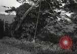 Immagine di Vista aerea Hawaii USA, 1941, secondo 37 filmato di repertorio 65675061753