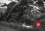 Immagine di Vista aerea Hawaii USA, 1941, secondo 39 filmato di repertorio 65675061753