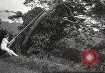 Immagine di Vista aerea Hawaii USA, 1941, secondo 40 filmato di repertorio 65675061753
