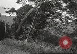 Immagine di Vista aerea Hawaii USA, 1941, secondo 41 filmato di repertorio 65675061753