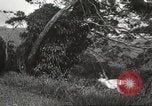 Immagine di Vista aerea Hawaii USA, 1941, secondo 43 filmato di repertorio 65675061753