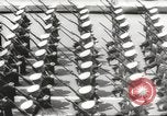 Immagine di Massiccia parata militare a New York durante la guerra mondiale 2 New York City USA, 1942, secondo 62 filmato di repertorio 65675061763