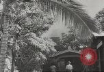 Image of attack on Pearl Harbor Pearl Harbor Hawaii USA, 1941, second 18 stock footage video 65675061769