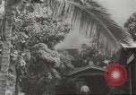 Image of attack on Pearl Harbor Pearl Harbor Hawaii USA, 1941, second 19 stock footage video 65675061769