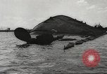 Image of attack on Pearl Harbor Pearl Harbor Hawaii USA, 1941, second 49 stock footage video 65675061769