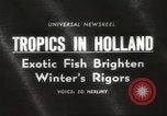 Image of tropical fishes Holland Netherlands, 1965, second 3 stock footage video 65675061772