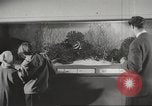 Image of tropical fishes Holland Netherlands, 1965, second 6 stock footage video 65675061772
