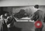 Image of tropical fishes Holland Netherlands, 1965, second 7 stock footage video 65675061772