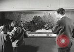 Image of tropical fishes Holland Netherlands, 1965, second 8 stock footage video 65675061772