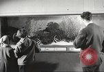 Image of tropical fishes Holland Netherlands, 1965, second 10 stock footage video 65675061772