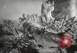 Image of tropical fishes Holland Netherlands, 1965, second 17 stock footage video 65675061772