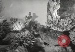Image of tropical fishes Holland Netherlands, 1965, second 18 stock footage video 65675061772