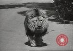 Standbild Queen Elizabeth Addis Ababa Äthiopien, 1965, aus Sekunde 58 historischem Filmmaterial Videoclip 65675061777