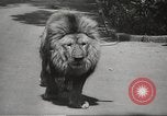 Standbild Queen Elizabeth Addis Ababa Äthiopien, 1965, aus Sekunde 59 historischem Filmmaterial Videoclip 65675061777