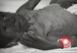 Standbild Baby Gorilla in Dallas Zoo Dallas Texas USA, 1966, aus Sekunde 14 historischem Filmmaterial Videoclip 65675061785