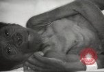 Standbild Baby Gorilla in Dallas Zoo Dallas Texas USA, 1966, aus Sekunde 15 historischem Filmmaterial Videoclip 65675061785