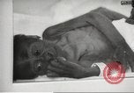 Standbild Baby Gorilla in Dallas Zoo Dallas Texas USA, 1966, aus Sekunde 16 historischem Filmmaterial Videoclip 65675061785