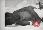 Standbild Baby Gorilla in Dallas Zoo Dallas Texas USA, 1966, aus Sekunde 18 historischem Filmmaterial Videoclip 65675061785