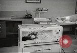 Standbild Baby Gorilla in Dallas Zoo Dallas Texas USA, 1966, aus Sekunde 19 historischem Filmmaterial Videoclip 65675061785