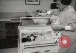 Standbild Baby Gorilla in Dallas Zoo Dallas Texas USA, 1966, aus Sekunde 20 historischem Filmmaterial Videoclip 65675061785