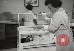 Standbild Baby Gorilla in Dallas Zoo Dallas Texas USA, 1966, aus Sekunde 21 historischem Filmmaterial Videoclip 65675061785
